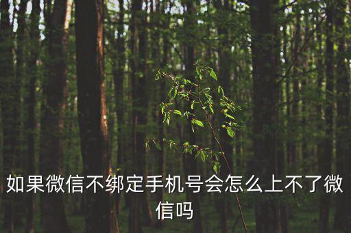 如果微信不綁定手機(jī)號(hào)會(huì)怎么上不了微信嗎