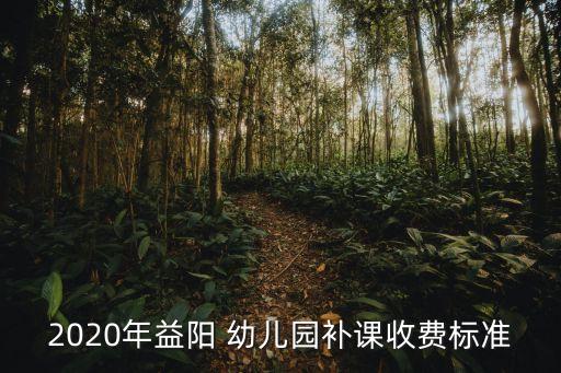 2020年益陽(yáng) 幼兒園補(bǔ)課收費(fèi)標(biāo)準(zhǔn)