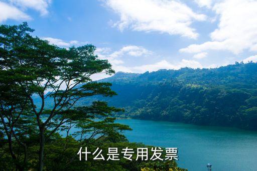 什么是專用發(fā)票