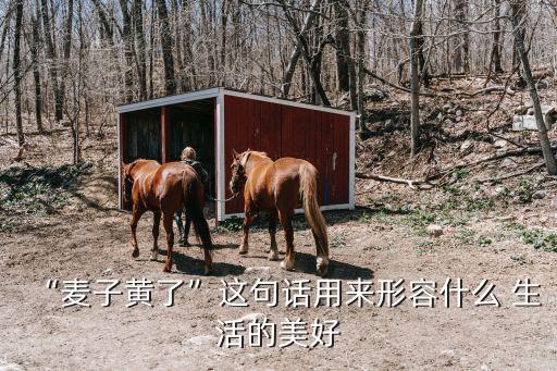 生活黃色片
