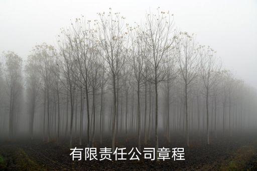 有限責(zé)任公司章程