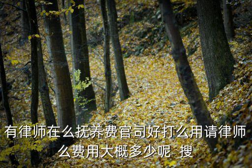 有律師在么撫養(yǎng)費(fèi)官司好打么用請(qǐng)律師么費(fèi)用大概多少呢  搜