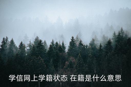 在籍是什么意思,學(xué)信網(wǎng)學(xué)籍狀態(tài)在籍是什么意思