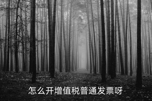 開普票怎么開，開增值稅普通發(fā)票的詳細(xì)步驟