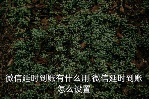 延期到賬，對方設置了發(fā)紅包延時到賬是什么意思
