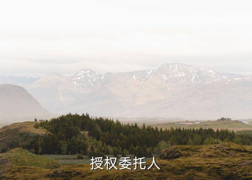 授權(quán)委托人