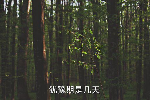 猶豫期是幾天