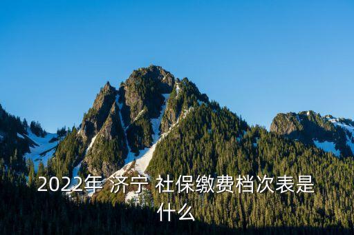 濟寧社保