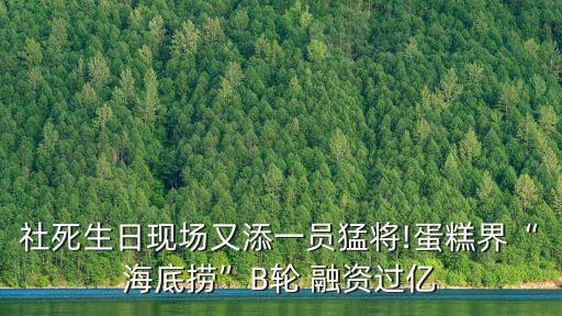 社死生日現(xiàn)場又添一員猛將!蛋糕界“海底撈”B輪 融資過億