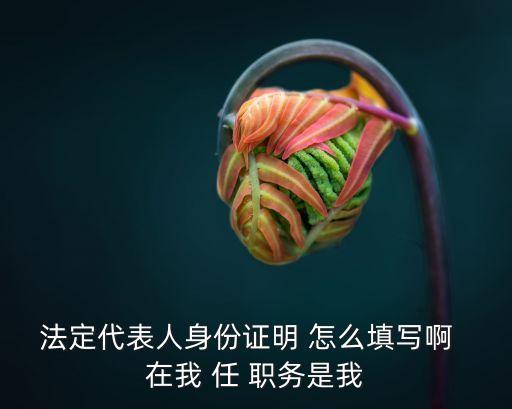 法人代表證明，法定代表人資格證明文件指是哪些