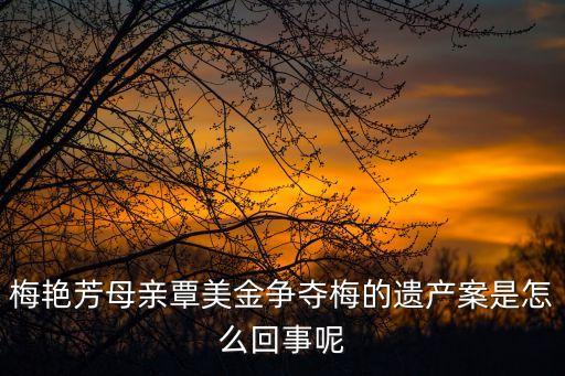 兩梅案，梅艷芳母親覃美金爭奪梅的遺產(chǎn)案是怎么回事呢