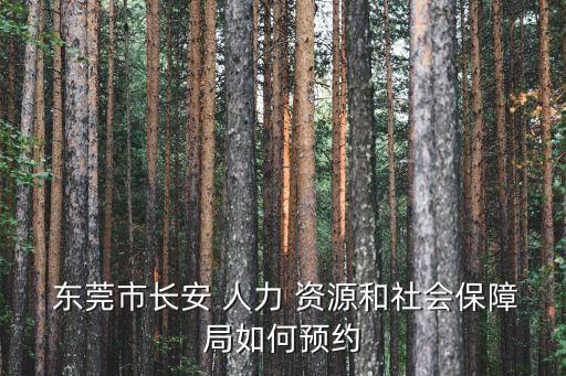 東莞市人力資源
