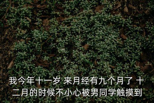 我今年十一歲 來月經(jīng)有九個月了 十二月的時候不小心被男同學(xué)觸摸到