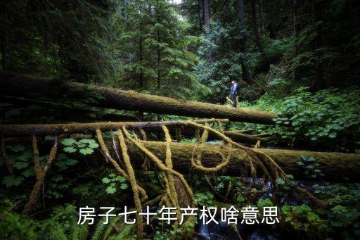 房子七十年產(chǎn)權(quán)啥意思