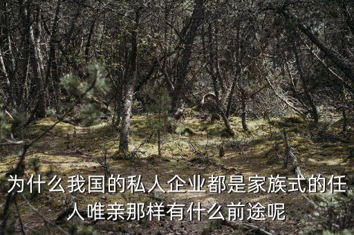 為什么我國(guó)的私人企業(yè)都是家族式的任人唯親那樣有什么前途呢