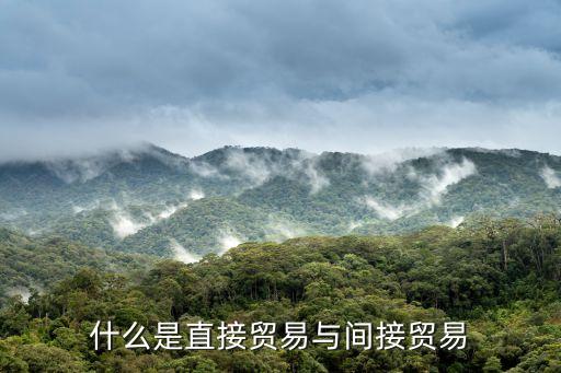 間接，直接引語和間接引語的定義