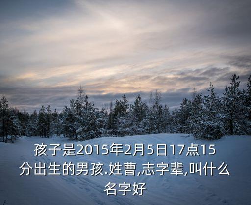曹志