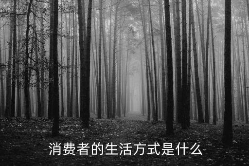 消費(fèi)方式