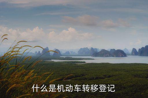 什么是機(jī)動(dòng)車轉(zhuǎn)移登記