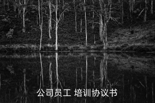 公司員工 培訓(xùn)協(xié)議書