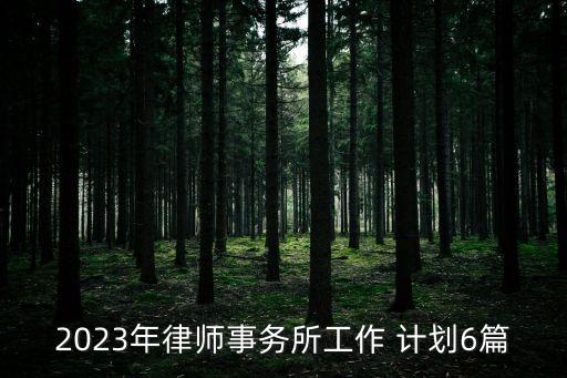 2023年律師事務(wù)所工作 計(jì)劃6篇