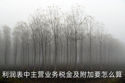 利潤表中主營業(yè)務(wù)稅金及附加要怎么算
