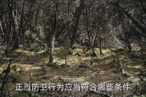 正當(dāng)行為，什么事業(yè)不屬于正當(dāng)行為