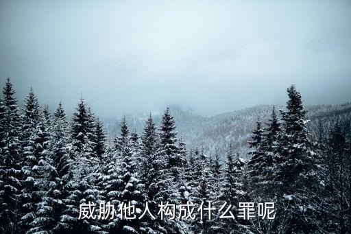 威脅他人構(gòu)成什么罪,用視頻威脅他人構(gòu)成什么罪