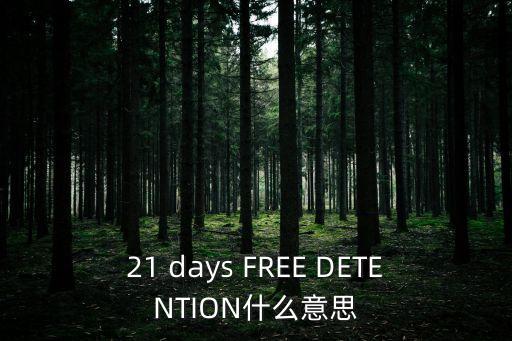 豁免期，加拿大投資移民條件中無犯罪記錄或已過豁免期怎樣理解曾被判