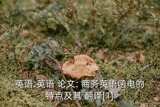 國際商務合同翻譯論文