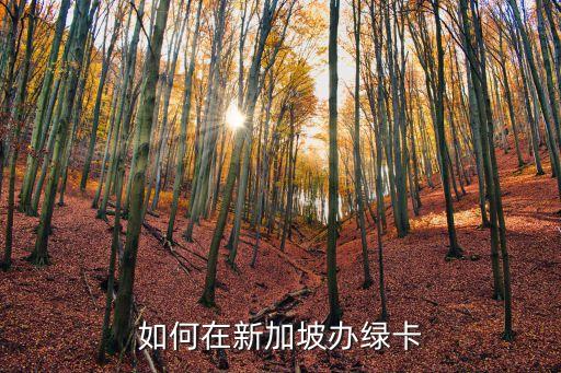 如何在新加坡辦綠卡
