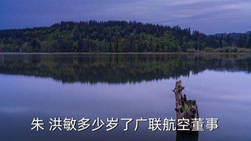 洪敏