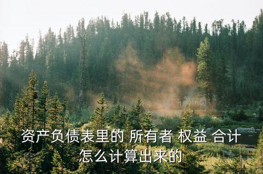 所有者權(quán)益合計(jì)