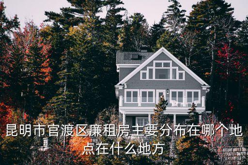 廉租房，什么是廉租房