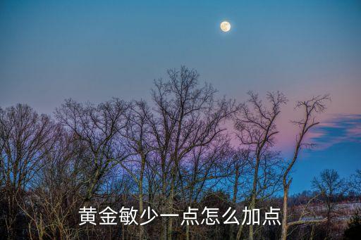 黃金敏少一點(diǎn)怎么加點(diǎn)
