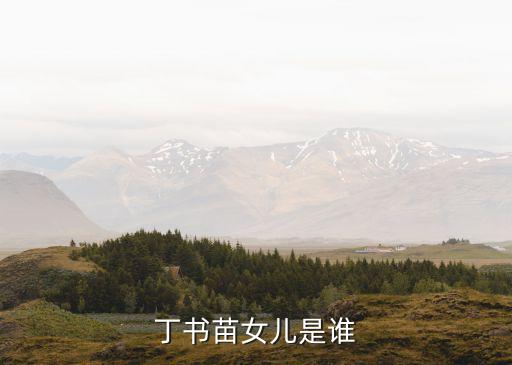 丁書苗，丁書苗女兒是誰
