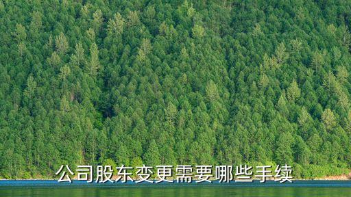 公司股東變更需要哪些手續(xù)