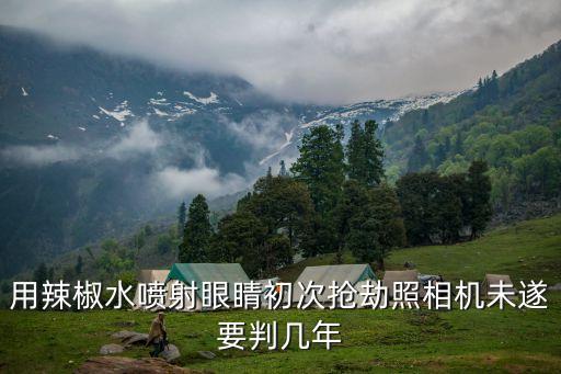 用辣椒水噴射眼睛初次搶劫照相機(jī)未遂要判幾年