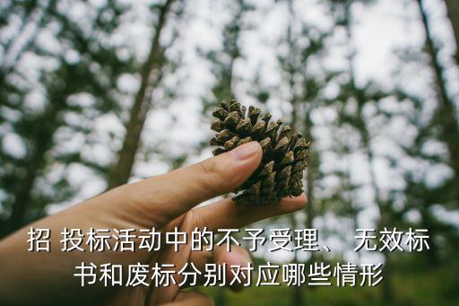 無效投標(biāo)文件的認(rèn)定,什么是無效投標(biāo)文件