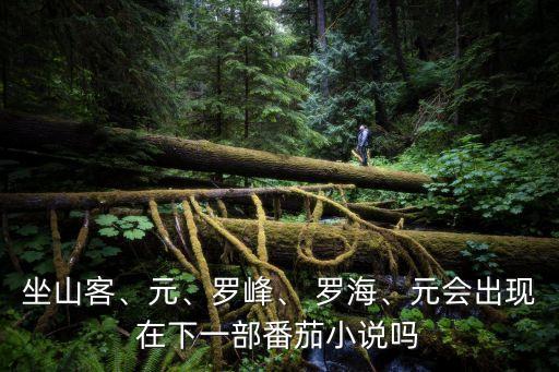 坐山客、元、羅峰、 羅海、元會出現(xiàn)在下一部番茄小說嗎