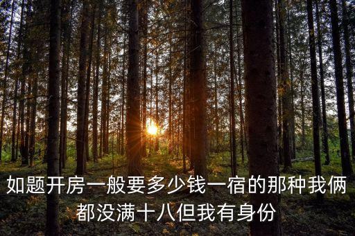 國(guó)產(chǎn)開房，開房大約多少錢