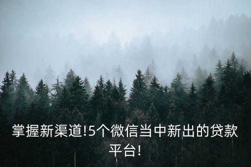 掌握新渠道!5個(gè)微信當(dāng)中新出的貸款平臺(tái)!