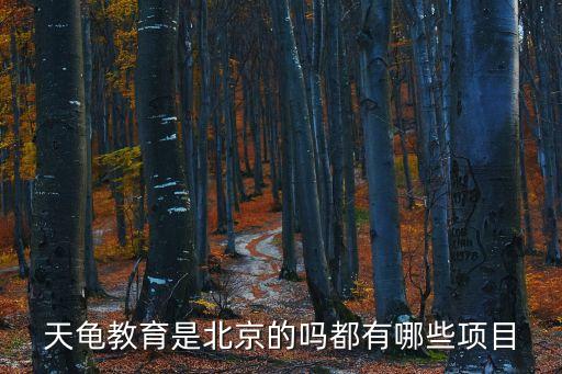天龜教育是北京的嗎都有哪些項目