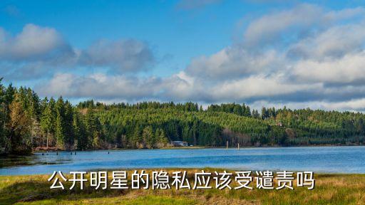 明星隱私，公開明星的隱私應(yīng)該受譴責(zé)嗎