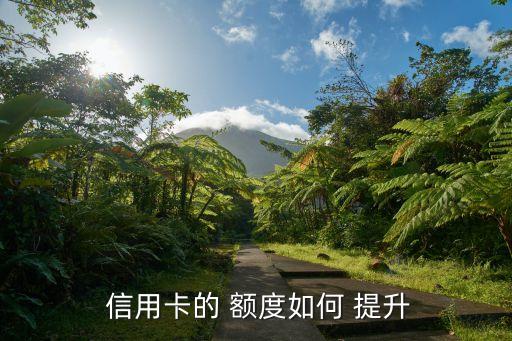 信用卡額度怎么提升,工商銀行信用卡額度怎么提升