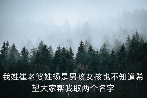 我姓崔老婆姓楊是男孩女孩也不知道希望大家?guī)臀胰蓚€(gè)名字