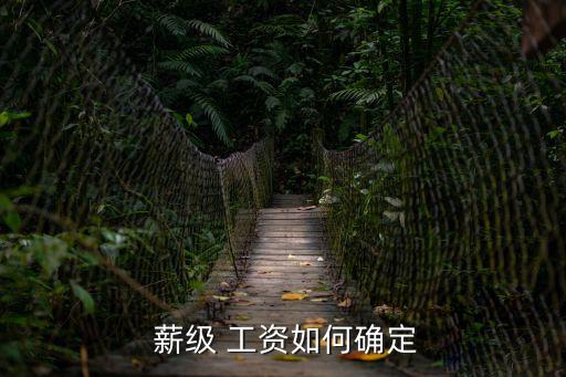  薪級(jí) 工資如何確定