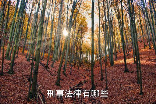 刑法大全，刑事法律有哪些