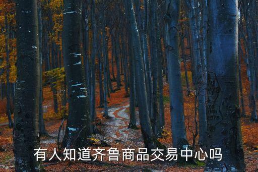 齊魯商品交易中心，請問青島齊魯商品交易在哪