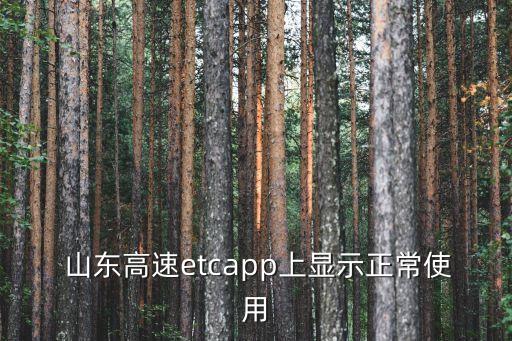  山東高速etcapp上顯示正常使用